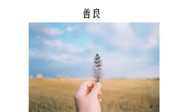 以善为主题的作文精选8篇