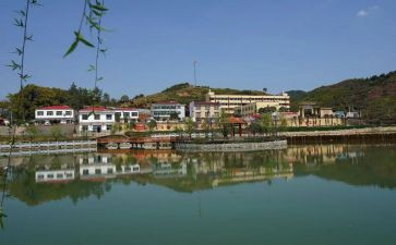 上栗环境调查报告推荐8篇