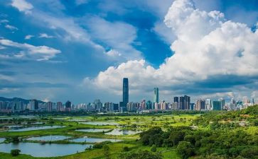 深圳店铺租赁合同7篇