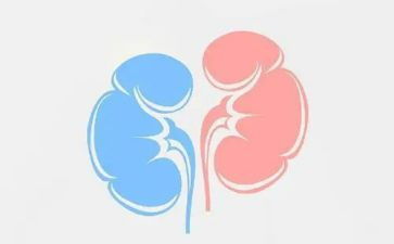 肾内科的护士自我鉴定模板5篇