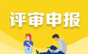 申报书心得体会8篇