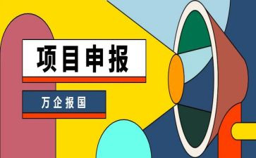 申报项目工作总结5篇
