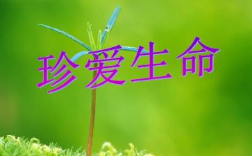 生命800字作文8篇