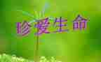 生命800字作文8篇
