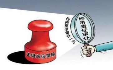 审计助理的工作总结7篇