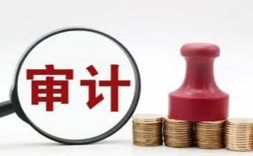 审计年终工作总结参考5篇