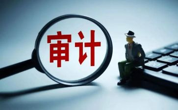年度内部审计工作总结6篇