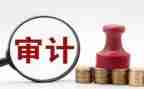 审计年终工作总结参考5篇