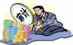 当审计的心得体会优质8篇