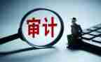 年度内部审计工作总结6篇