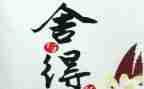 舍与得作文300字作文精选5篇