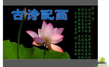 游诗经里心得体会7篇