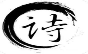 学诗词心得体会6篇