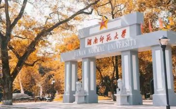 师范调研报告8篇