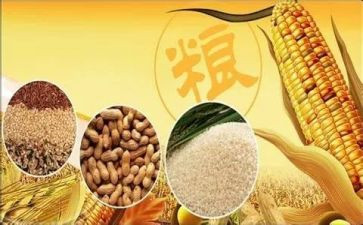 2023世界粮食日活动总结5篇