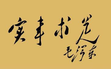 我为群众办实事调研报告5篇