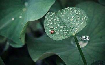 十四运汇报材料6篇