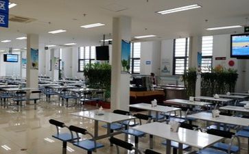 2024食堂年终个人总结精选6篇