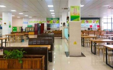 2024食堂管理工作总结最新8篇