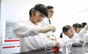 实验教学培训心得7篇