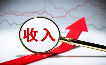 收入自查报告7篇