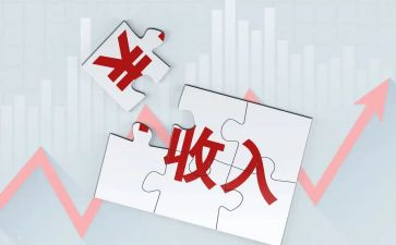 收入调查报告5篇