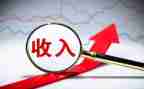 收入自查报告7篇