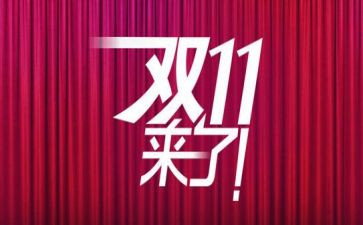 物流双11个人总结通用8篇