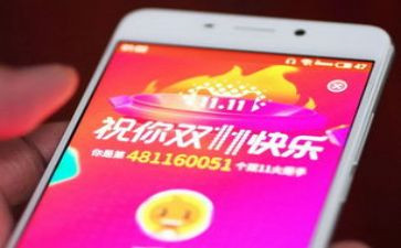 2024双11年度调研报告5篇