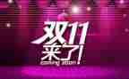 双11调研报告范文优秀8篇