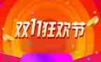 双11活动的总结报告参考6篇