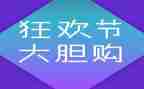 双12电器活动方案5篇