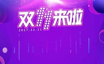 双十一工作总结范文8篇