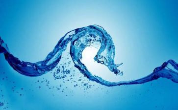 水的环境调查报告6篇