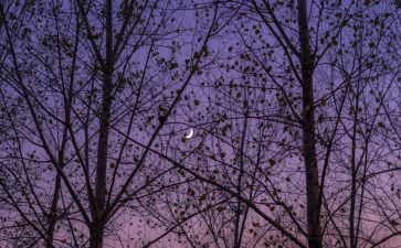 中班数学谁来了教学反思8篇