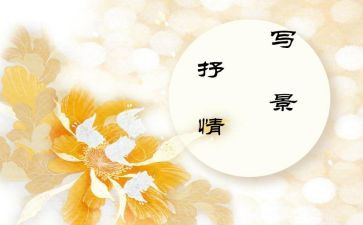抒情作文300字初中作文7篇