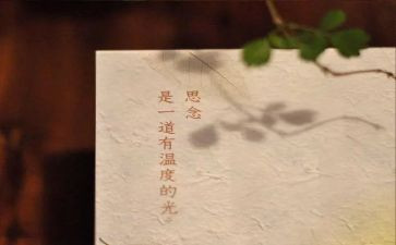 我最思念的人作文5篇