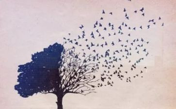 教师年度思想工作总结参考5篇