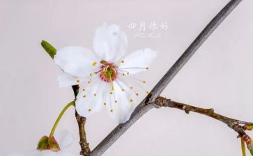 大四月工作总结优秀7篇