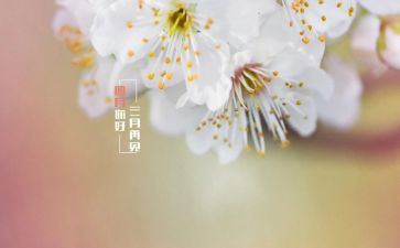 四月酒店工作计划6篇