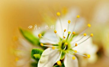 大四月工作总结7篇