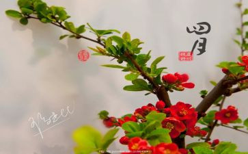 教师四月工作总结6篇