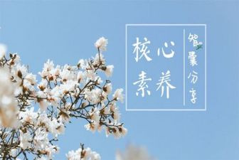 教师素养的心得体会5篇