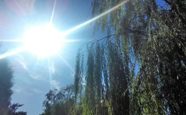 大班科学天气教案科学教案通用6篇