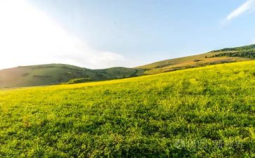 大班科学《天气》教案参考5篇