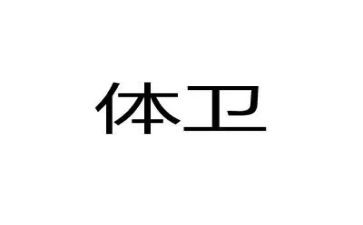 体卫艺工作计划2023优秀7篇