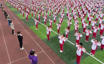 读幼儿体育活动总结6篇