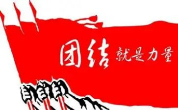 团结合作的心得体会8篇