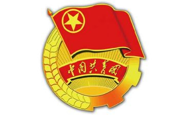 村社区团支部工作总结6篇