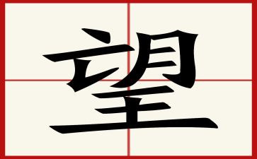 对未来的展望演讲稿推荐5篇